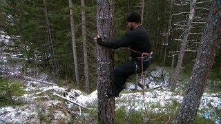 Lumberjack Tree Climbing  Dual Survival [upl. by Aneekahs567]