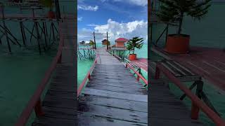 Derawan Island shortvideo shorts short [upl. by Seyler928]