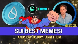 How to buy and Yield Farm 1000 APR SUI MEMECOINS [upl. by Skees821]