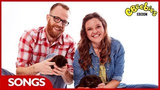 CBeebies  Ferne and Rorys Vet Tales  Exercise Song [upl. by Ellehsar818]