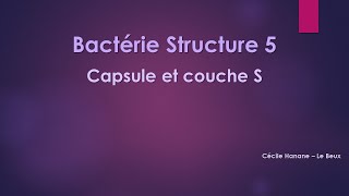 Bactérie Structure 5 CAPSULE et COUCHE S bactériennes sans musique de fond [upl. by Wester]