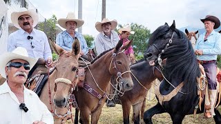 Cabalgata CON MULAS en OCONAHUA JALISCO [upl. by Arianie174]