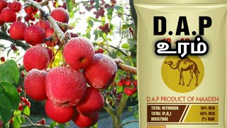 DAP உரம் பயன்கள் பயன்படுத்தும் முறைகள்  uses of diammonium phosphate  uses of DAP fertilizers [upl. by Roy]