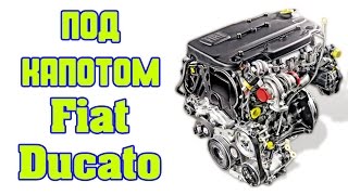 Fiat Ducato под капотом [upl. by Meave389]