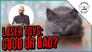 Can a Laser Toy Make Your Cat Crazy [upl. by Assenab]