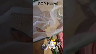 RIP Neomi [upl. by Anyrak]