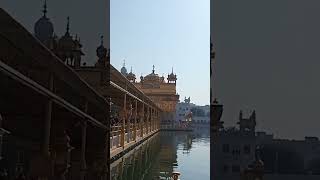 dhangururamdasji goldentemple amritsar sikhreligion sikhism darbarsahib DivneetKaur14 sikh [upl. by Cummins331]