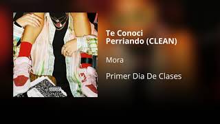 Te Conocí Perriando  Mora CLEAN  Versión no explícita [upl. by Leahcimsemaj]