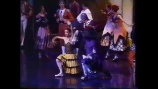 BALLET NACIONAL SODRE BNS URUGUAY Don Quijote Dir Alejandro Godoy  Uruguay 1997 2do Acto [upl. by Glanville707]