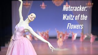 Nutcracker Waltz of the Flowers Balletschule Theater Basel 4K video [upl. by Ragg120]