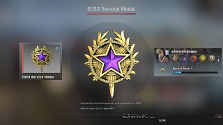 Purple Tier 4 2020 Service Medal  CSGO [upl. by Rosamund956]