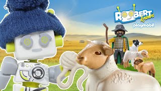 ROBert Knows  Playmobil  How is wool made  Farm  Country  Sheep  Kids Video [upl. by Roee]