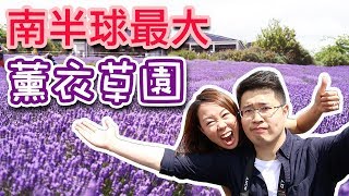 【Tasmania必去景點】 南半球最大薰衣草園 Bridestowe Lavender Estate ＋宮崎峻靈感地？ Ross小鎮 （中文字幕） [upl. by Cinnamon28]