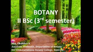 II BSC BOTANY III SEMESTER CONTRIVANCES FOR SELF AND CROSS POLLINATION PART2 by Ms Chaithra R [upl. by Esirehs543]