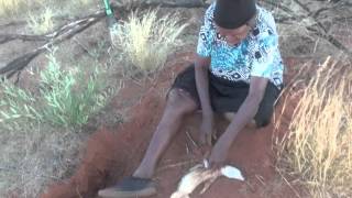 Aboriginal Bush Tucker Hunting with Margaret and Dorothy Napangardi [upl. by Oicelem262]