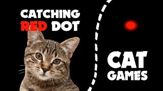 Catching RED DOT LASER for cats ★ CAT GAMES 1 hour [upl. by Nivan269]