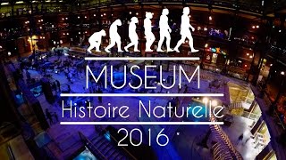 Muséum dHistoire Naturelle  Paris [upl. by Barb781]