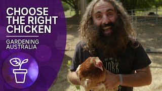 Choose the right chickens for your backyard  Beneficial animals and insects  Gardening Australia [upl. by Chap]