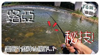 【釣魚津觸咪】秘技傳授 V特 中部釣魚 路亞 fishing [upl. by Lucinda]