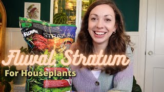 How To Use Fluval Stratum For Houseplants [upl. by Dawes949]