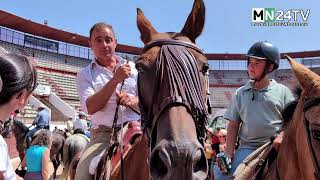 El traslado de bueyes anticipa el inicio de Fiestas Patronales de Colmenar Viejo [upl. by Meta688]