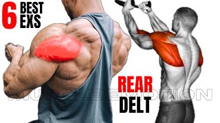 6 BEST REAR DELTOID EXERCISES AT GYM [upl. by Annahpos805]