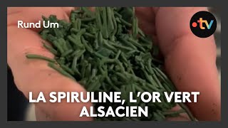 De la production de spiruline en Alsace [upl. by Lansing]