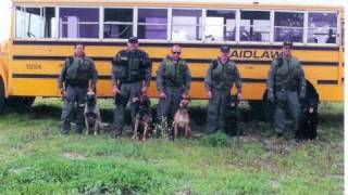 Tactical SWAT Dog Training – Gold Coast K9 [upl. by Zacharie377]