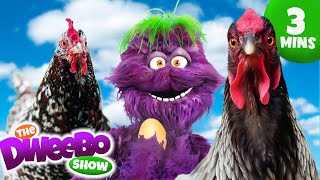 🐓🐣Learning The Life Cycle of a Chicken  Educational Videos for Kids  Learning for kids  Dweebo [upl. by Atalie141]