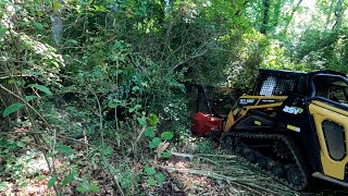 Forestry Mulching An Overgrown Backyard Creek [upl. by Katti]