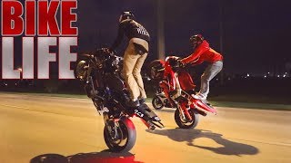 STUNT RIDE  Cops N Crashes [upl. by Olbap]