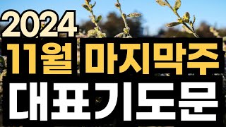 주일낮 대표기도 예시ㅣ주일 오후예배 대표기도 예문ㅣ2024년 11월 넷째 주일 낮예배 대표기도문 ㅣ대표기도가 어려운분들을 위한 주일예배 기도문 예시 [upl. by Klingel968]