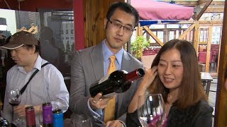 China builds wine country in its own desert [upl. by Melton]