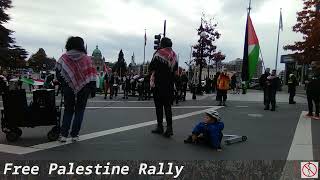 Free Palestine Rally  Victoria BC 20241102 155357 [upl. by Heddi234]