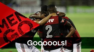 Gooools  Flamengo 2x0 Volta Redonda  Carioca 2018 [upl. by Ahtan541]