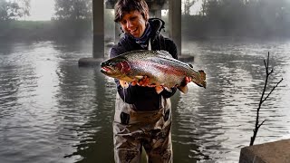 Goulburn River Stonkers And Wild Brown Trout [upl. by Mond769]