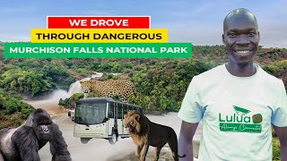 We Drove in the Dangerous MURCHISON FALLS National Park in a bus [upl. by Cavit]