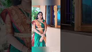 Sita kalyana Vaibhogame song sitakalyanam traditional narayanapetasarees ambikamall trending [upl. by Horwath135]