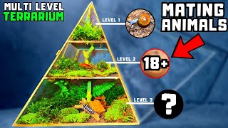 I made a multi level terrarium with 3 different animal species [upl. by Nnyletak]