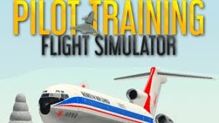 playing pilot training flight simulator [upl. by Rikahs]