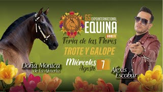 65ª EXPOINTERNACIONAL EQUINA FERIA DE LAS FLORES 2024  DIA 2 TROTE Y GALOPE [upl. by Adrahs]