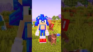 Minecraft but OIIAIOIIIAI Cat returns sonic memes minecraft [upl. by Giguere]