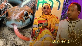 አርቴፊሻል እባብ አጥተን ትክክለኛ እባብ ለቀረፃ ተጠቅመናል 😂  አዝናኝ ቆይታ ከዮቶራውያን ድራማ ደራሲ እና አዘጋጆች ጋር ArtsTvWorld [upl. by Horlacher953]