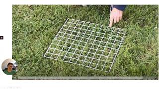 GCSE Biology Required Practical 9  Quadrats and plant distribution [upl. by Baras]