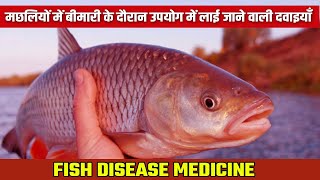 How To Use Fish Medicine  Fish Diseases and Treatment  Fish Farming [upl. by Lucais]