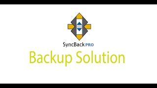 Configure syncback pro 2020 backup [upl. by Nailil678]