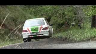 I Rallysprint Cangas de Onís  2014 [upl. by Vladimar67]