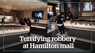 Terrifying robbery at Hamilton mall  nzheraldconz [upl. by Meeka378]