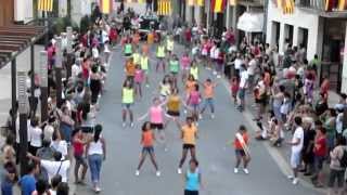 1er Flashmob en la jana 2012 [upl. by Lehcim]