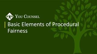 Basic Elements of Procedural Fairness [upl. by Hars]